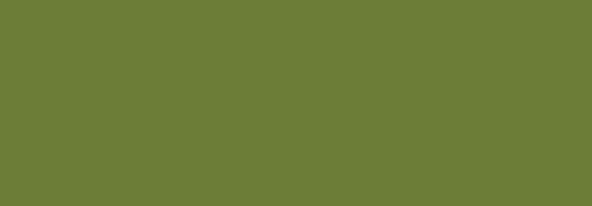 N119 SLOW Military Green